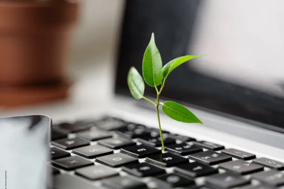 Bild von Nachhaltige Bürokultur: Tipps für eine umweltfreundliche Arbeitsumgebung